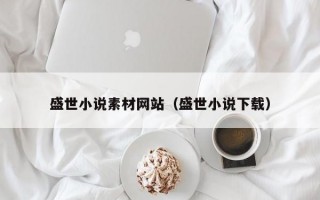 盛世小说素材网站（盛世小说下载）