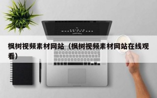 枫树视频素材网站（枫树视频素材网站在线观看）