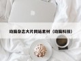 动脑杂志大片网站素材（动脑科技）