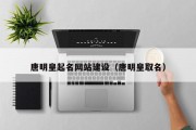 唐明皇起名网站建设（唐明皇取名）